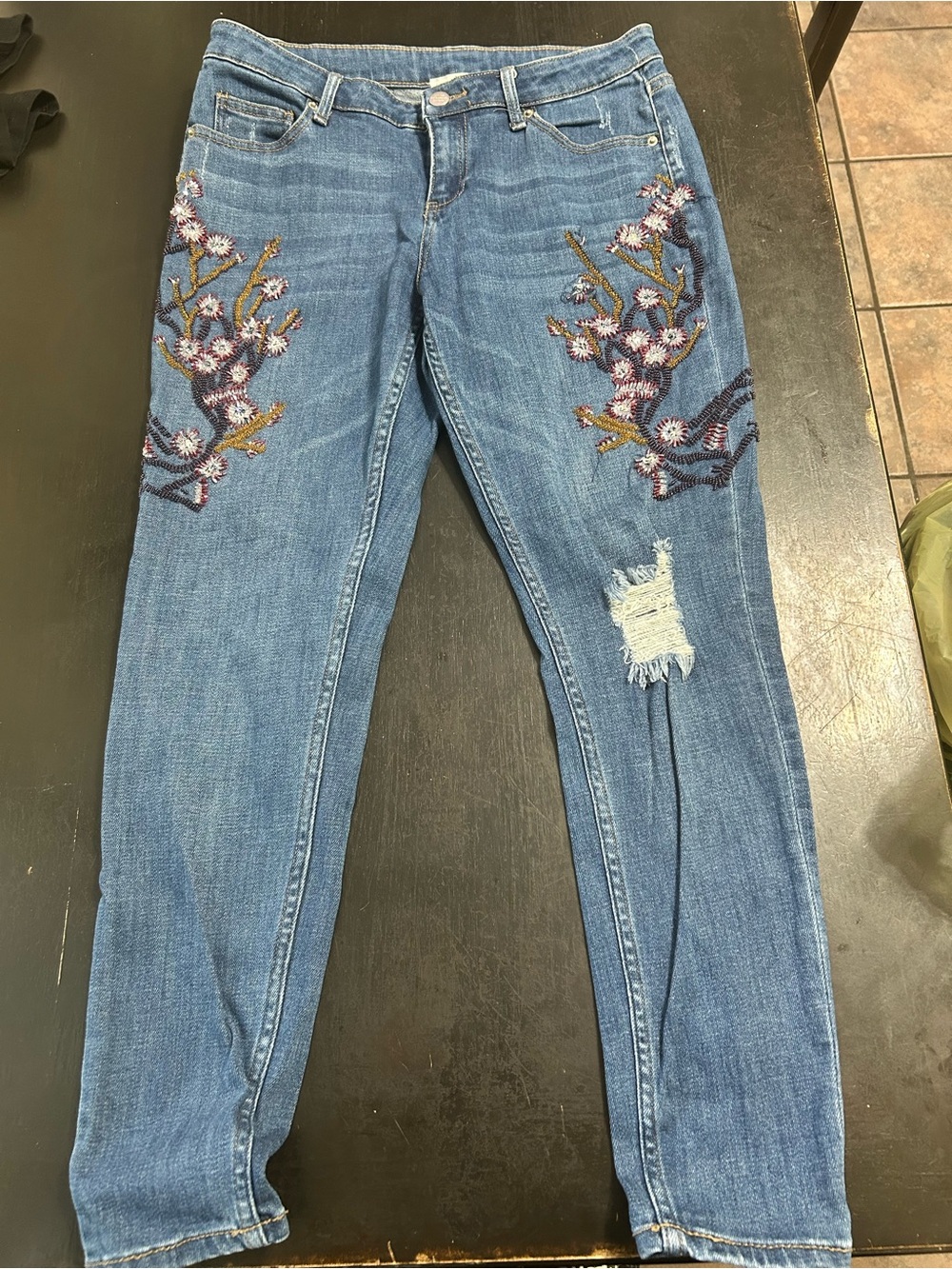 Blue Skinny Jeans with Floral Embroidery